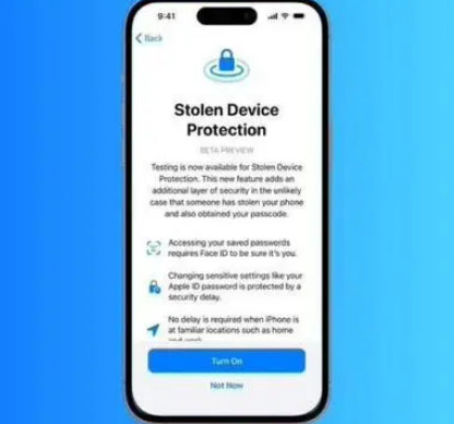 大茂镇苹果授权维修店分享被盗设备保护功能开启方法