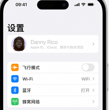 大茂镇appleID维修服务iPhone设置中Apple ID显示为灰色无法使用 