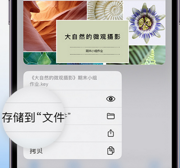 大茂镇apple维修中心分享iPhone文件应用中存储和找到下载文件