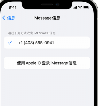 大茂镇apple维修iPhone上无法正常发送iMessage信息