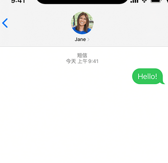 大茂镇apple维修iPhone上无法正常发送iMessage信息