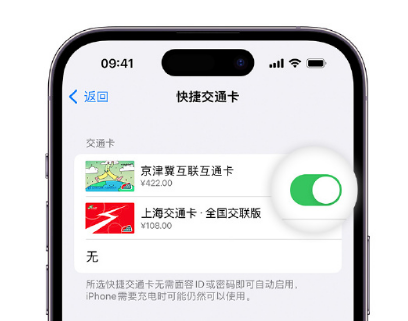 大茂镇apple维修点分享iPhone上更换Apple Pay快捷交通卡手绘卡面 