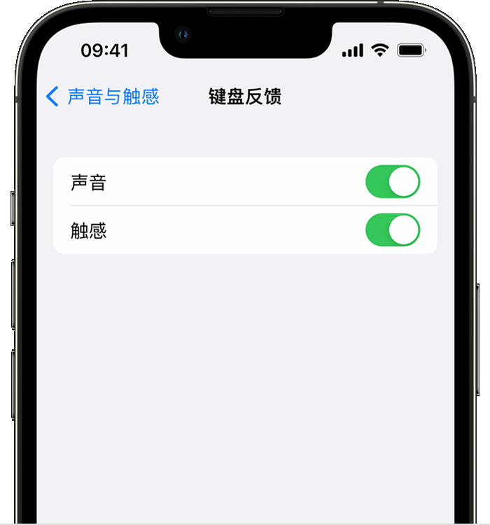 大茂镇苹果14维修店分享如何在 iPhone 14 机型中使用触感键盘 