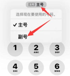 大茂镇苹果14维修店分享iPhone 14 Pro Max使用副卡打电话的方法 