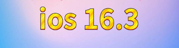 大茂镇苹果服务网点分享苹果iOS16.3升级反馈汇总 