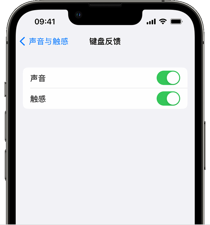 大茂镇苹果14维修分享iPhone 14 系列机型如何开启键盘声音或触感反馈 