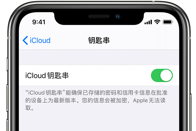 大茂镇苹果手机维修分享在 iPhone 上开启 iCloud 钥匙串之后会储存哪些信息 