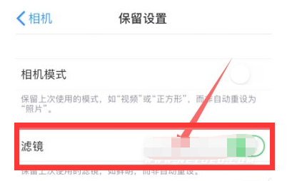 大茂镇苹果13维修分享iPhone13拍照有绿点是怎么回事 