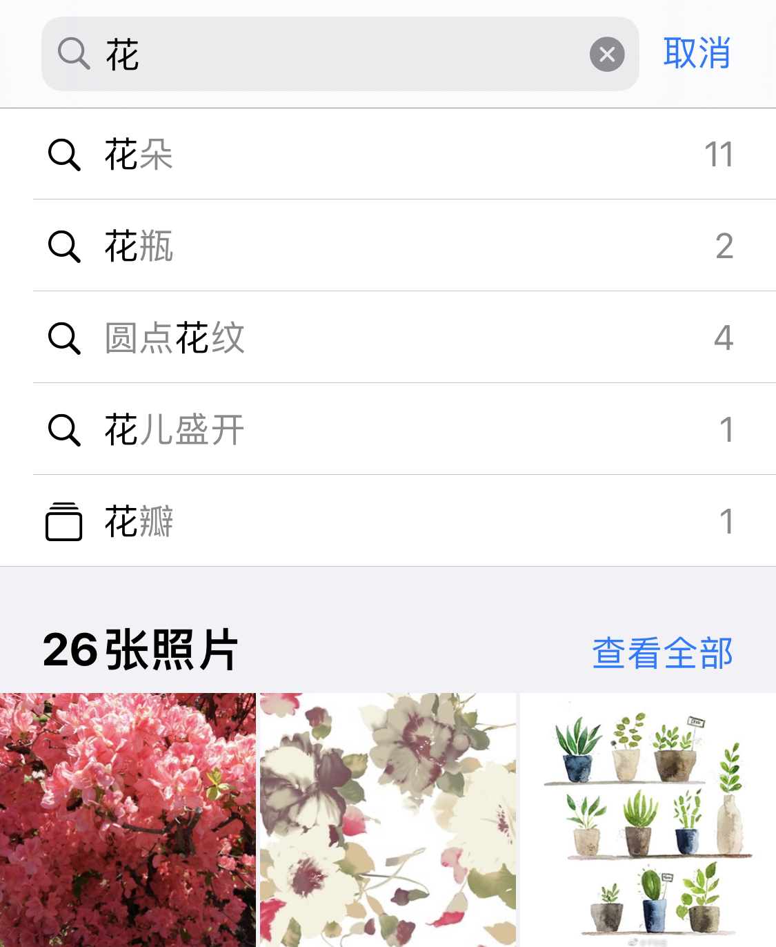 大茂镇苹果手机维修分享iPhone 小技巧 