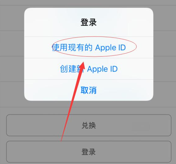 大茂镇苹果手机维修分享两台iPhone设备可以同时登录一个Apple ID吗 
