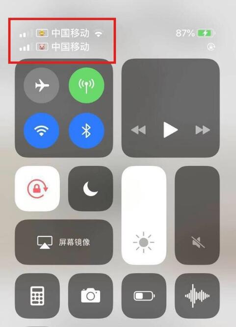 大茂镇苹果手机维修分享为 iPhone 12 双卡设置标签 