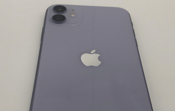 大茂镇苹果11系统维修分享iPhone11手机系统崩溃无法开机如何解决 